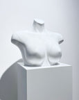 MANNEQUIN UPCYCLE 35 胸像 ART SERIES MARBLE WHITE×GRAY