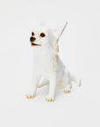 Animal Object Chihuahua (Sitting Pose)