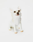 Animal Object Chihuahua (Sitting Pose)