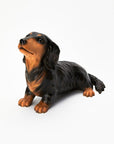 Animal Object Miniature Dachshund (Sitting Pose)