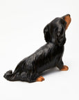 Animal Object Miniature Dachshund (Sitting Pose)