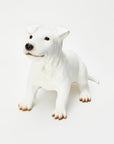 Animal Object Bull Terrier (Puppy)