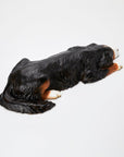Animal Object Bernese Mountain Dog (lying down)