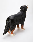 Animal Object Bernese Mountain Dog (standing pose)