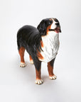 Animal Object Bernese Mountain Dog (standing pose)