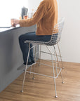Wire High Stool (Harry Bertoia)