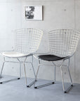 Wire Chair (Harry Bertoia)