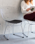 Wire Chair (Harry Bertoia)