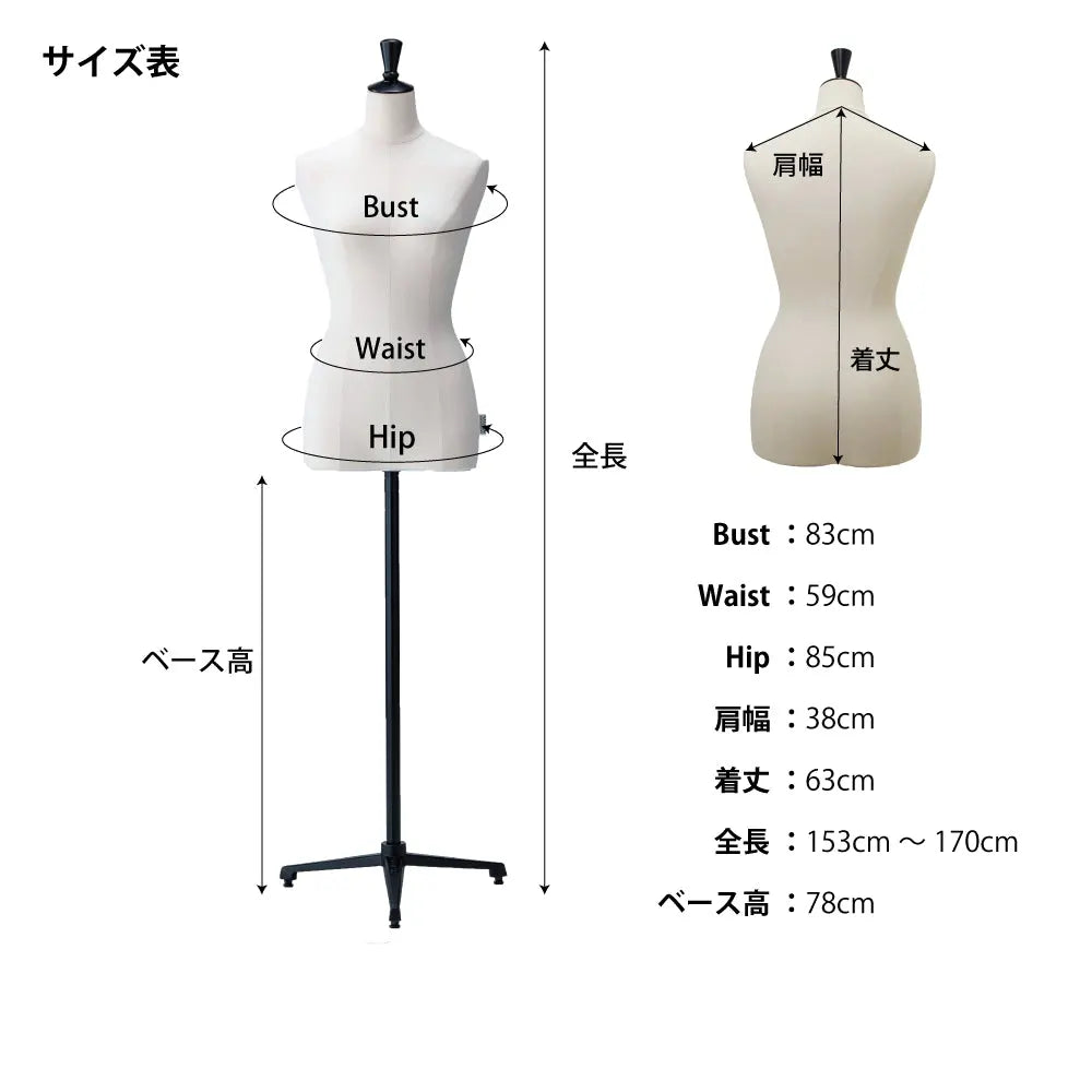 N-VALUE　ウィメンズ ディスプレイ トルソー