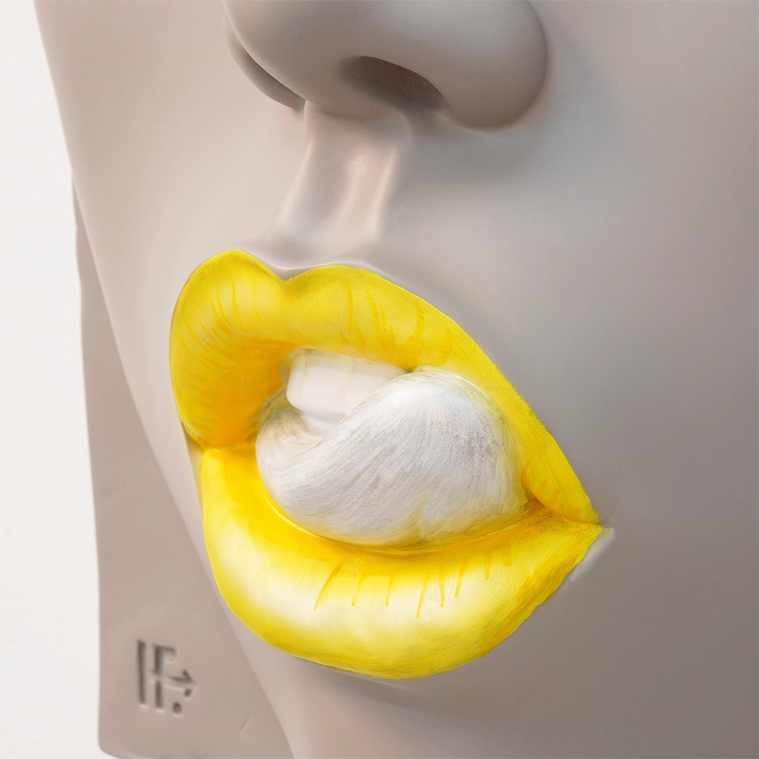 Art Relief Collection LIP Series c-09