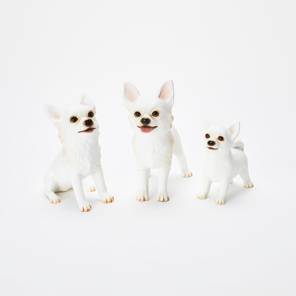 Animal Object Chihuahua (Sitting Pose)