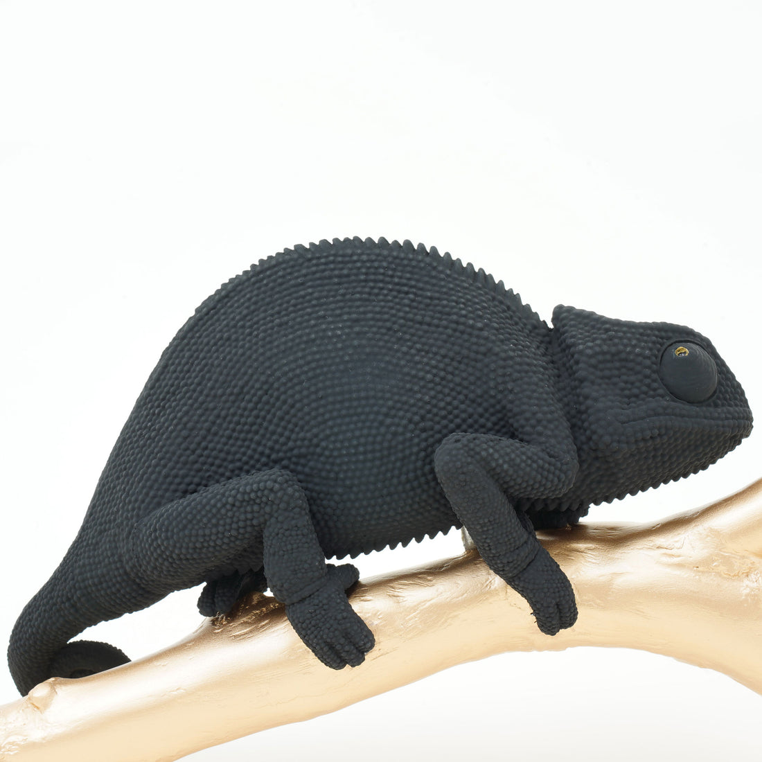 アニマルオブジェ カメレオン（ステルスブラック）